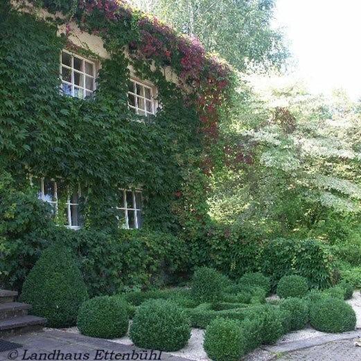 Landhaus Ettenbuehl Bed And Breakfast Бад-Беллінген Екстер'єр фото